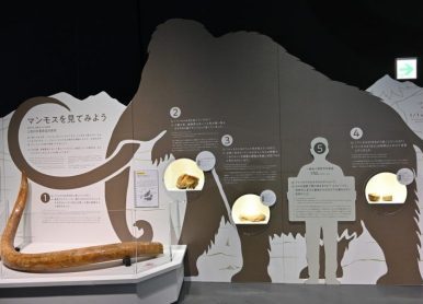 日本展廳設計注意事項有哪些？文中詳解一看便知